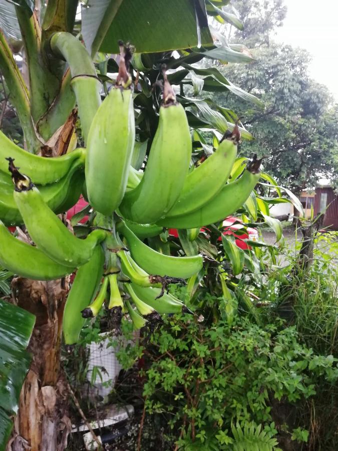 Monteverde Ecolove Eksteriør bilde