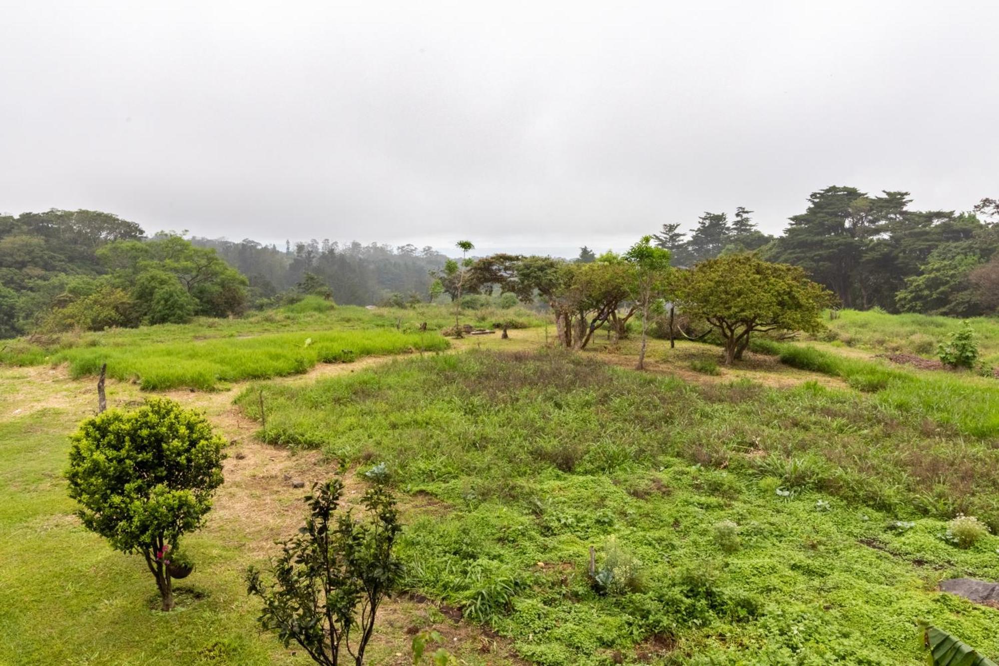Monteverde Ecolove Eksteriør bilde